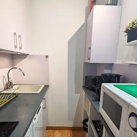 L'acacia, F2 Terrasse Et Jardin,plage A 400metres הולגאט