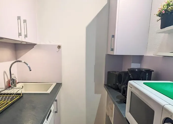 L'acacia, F2 Terrasse Et Jardin,plage A 400metres הולגאט