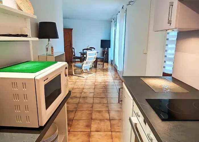 L'acacia, F2 Terrasse Et Jardin,plage A 400metres